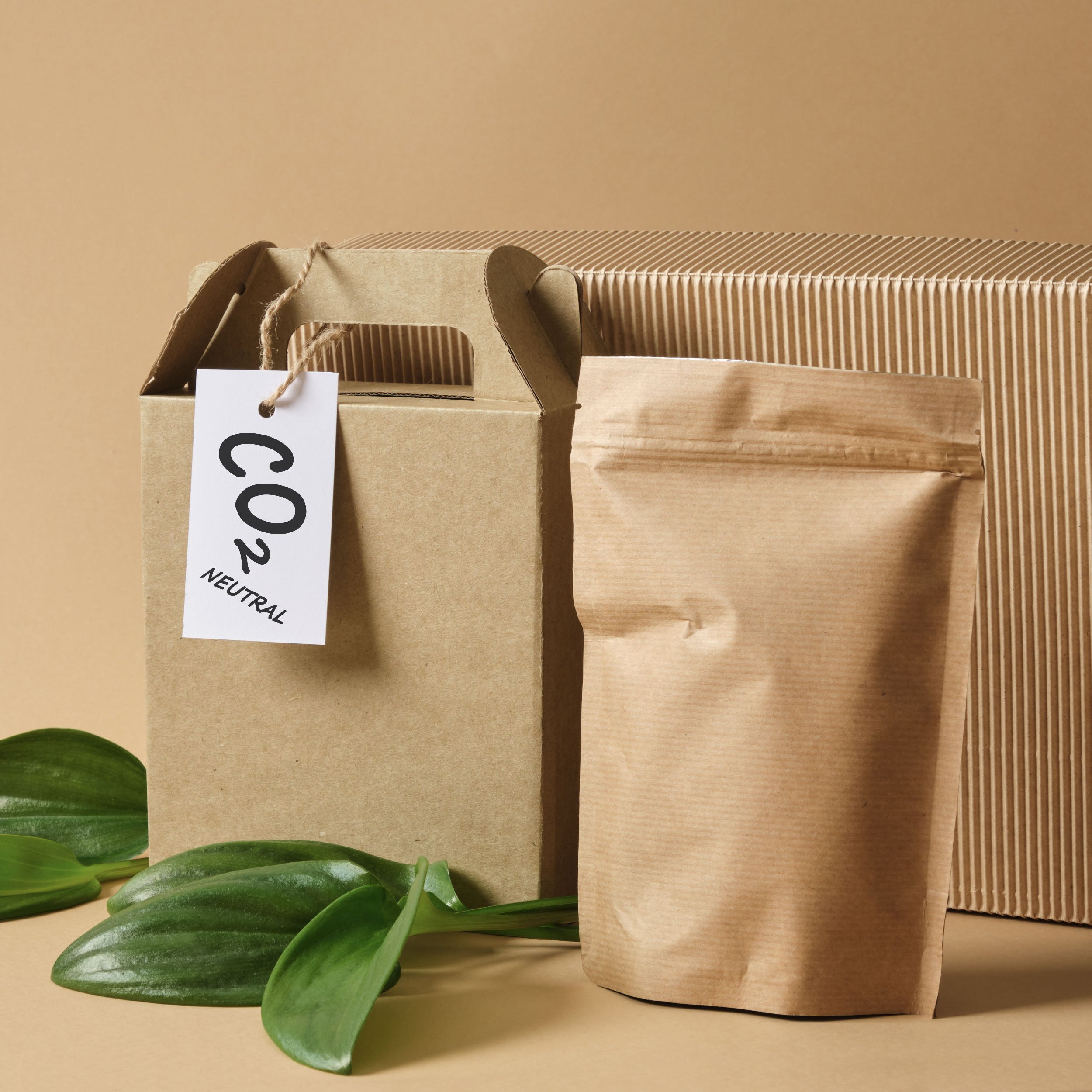 Packaging & POS Page_Sustainable Packaging