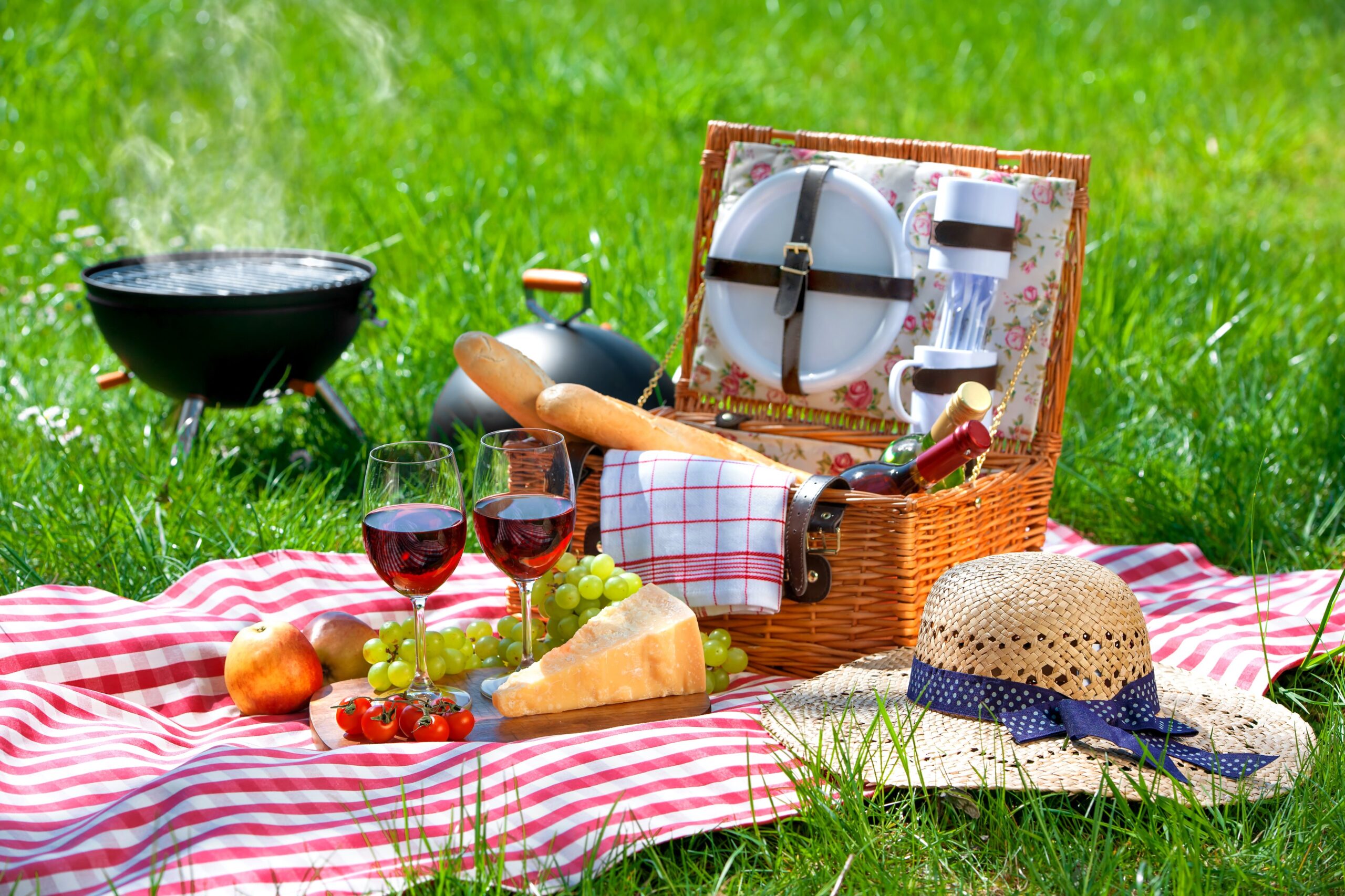 Stran Solutions - Helmet, Picnic, Food